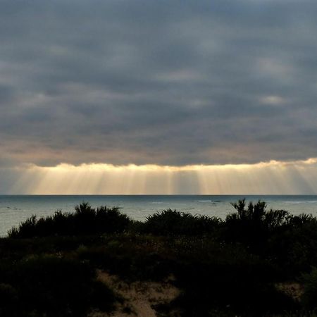 Hotel De La Petite Plage Saint-Georges-d'Oleron Zewnętrze zdjęcie