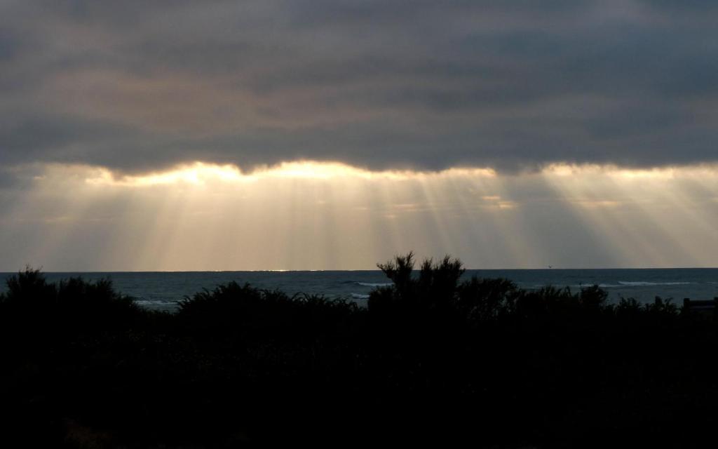 Hotel De La Petite Plage Saint-Georges-d'Oleron Zewnętrze zdjęcie