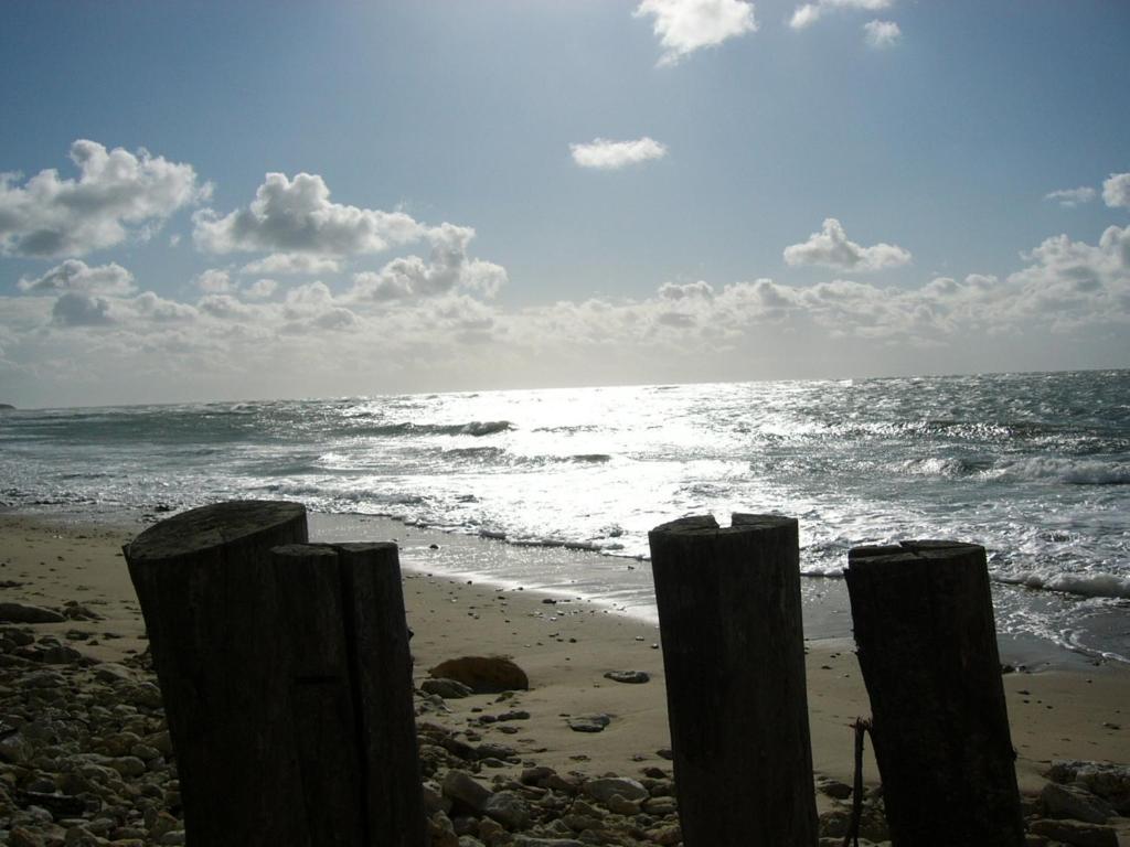 Hotel De La Petite Plage Saint-Georges-d'Oleron Zewnętrze zdjęcie